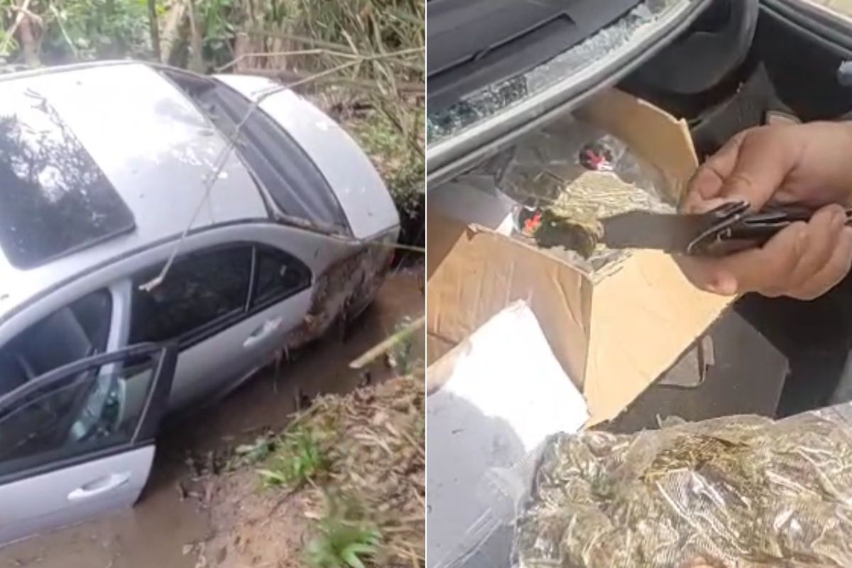 foto Not&iacute;cia Guarujá